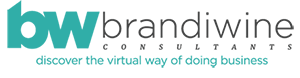 Brandiwine Consultants Logo